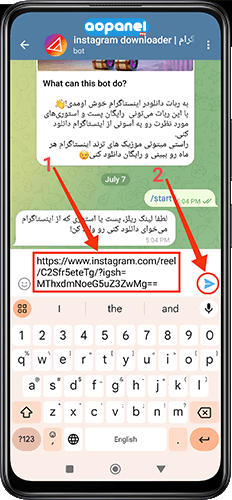 دانلود ویدیو ریل از اینستاگرام - قرار دادن لینک و ارسال به ربات