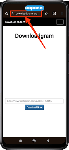 دانلود ویدیو ریل از اینستاگرام - وب سایت DownloadGram